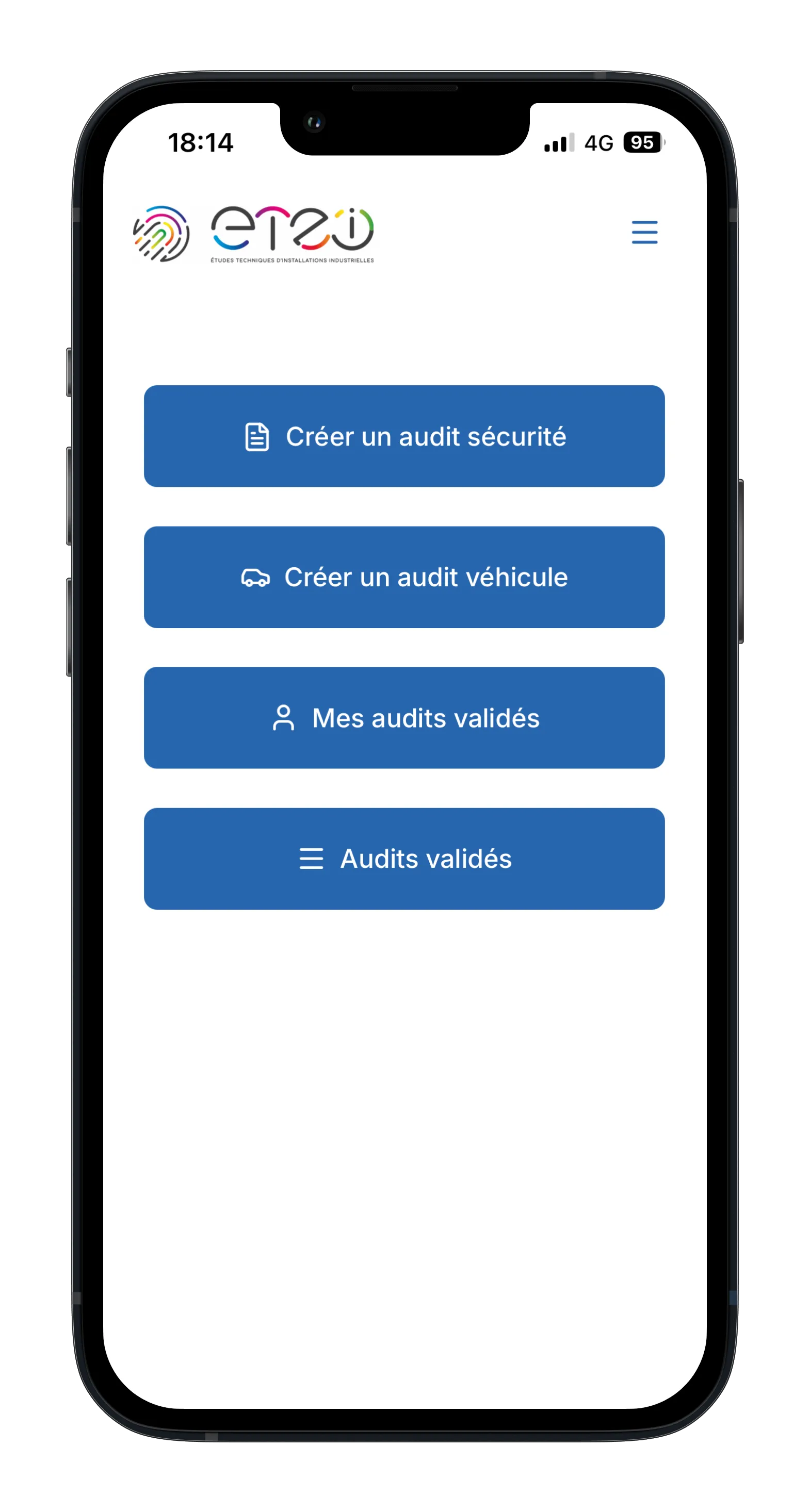 Audit screenshot 1