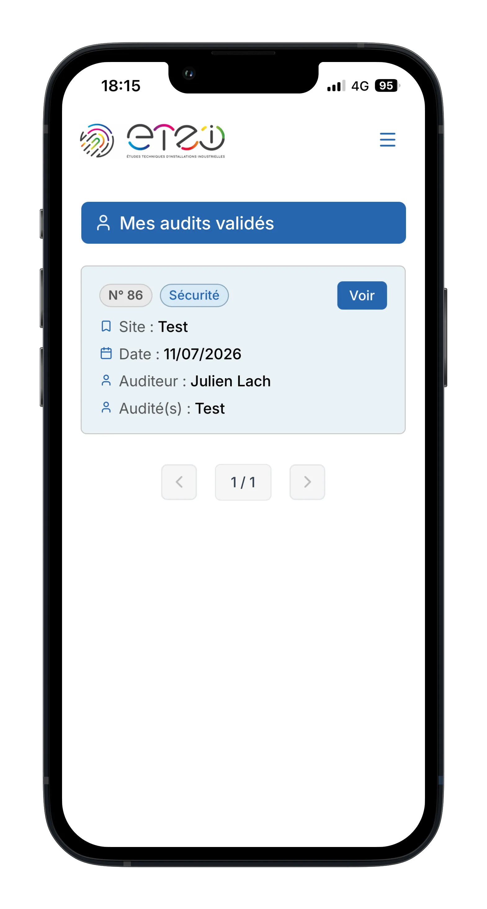 Audit screenshot 3