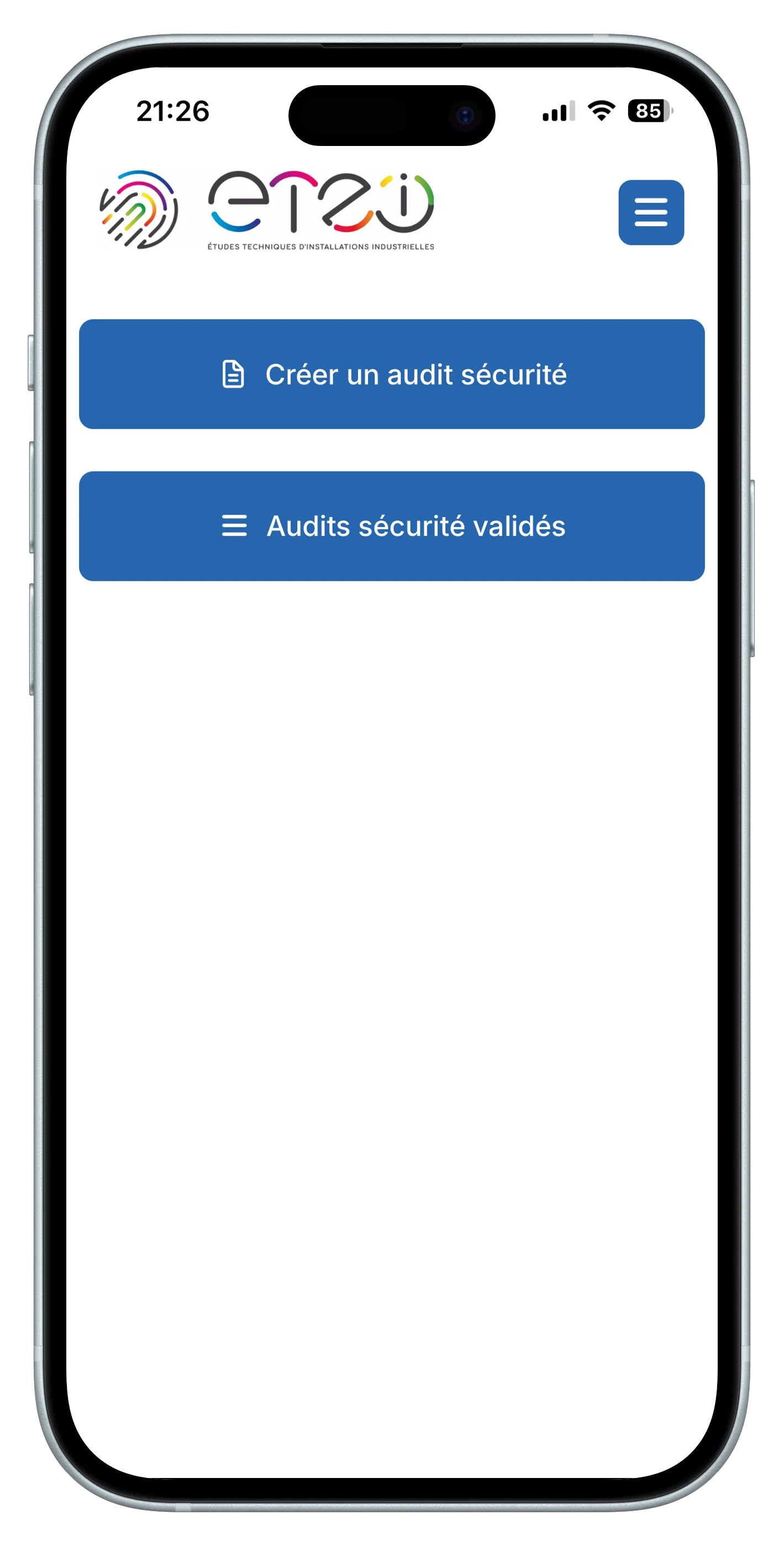 Audit screenshot 4
